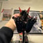 Small image 7