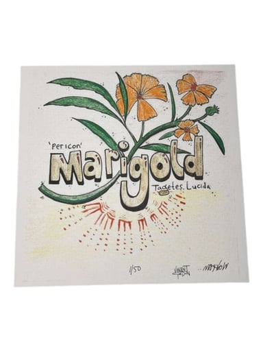 Preview pic of Wookerson x Vincent Gordon "Marigold" Print
