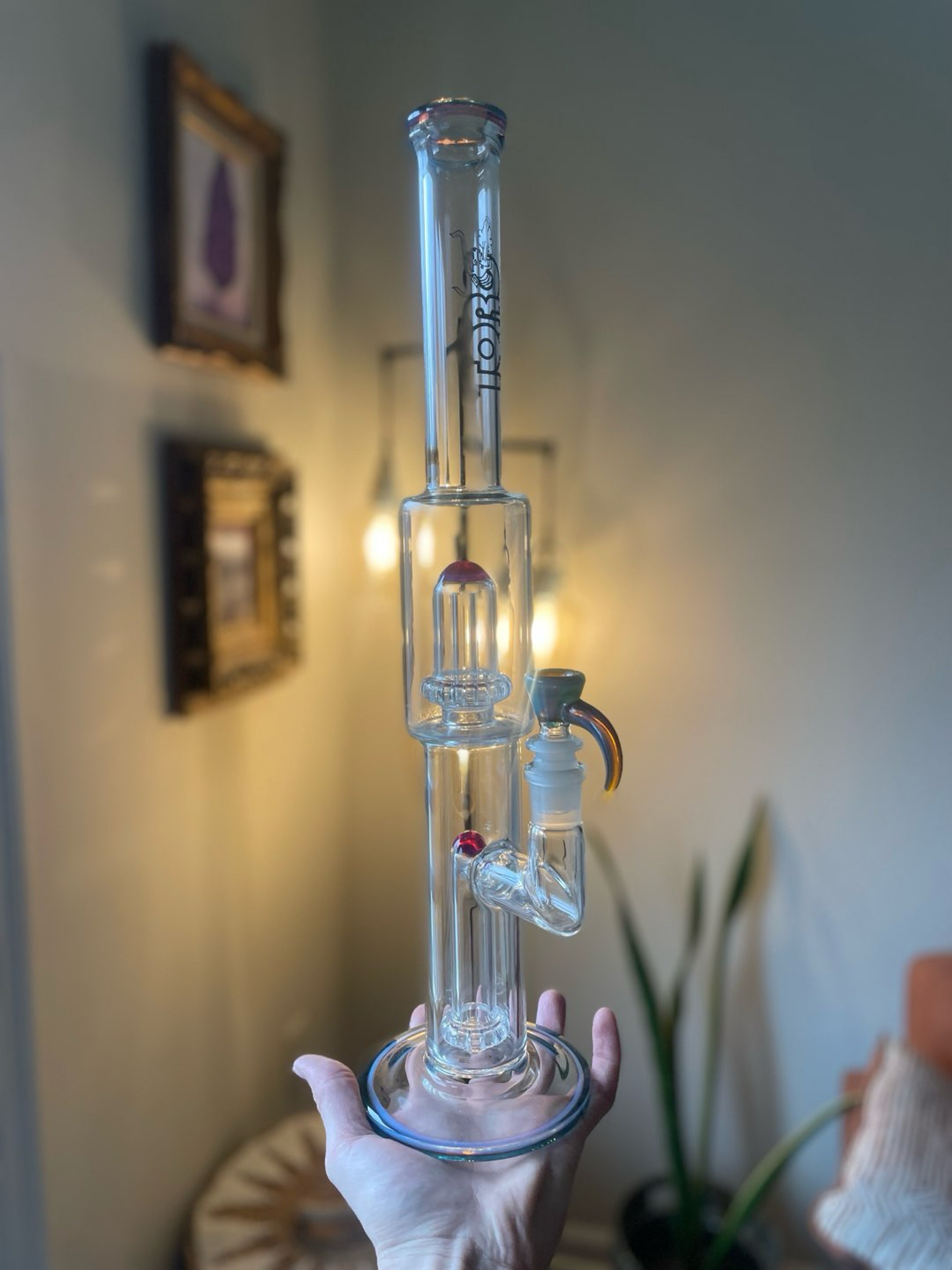 Preview pic of 2024 Toro Glass Circ to Circ