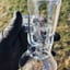 Small image 7