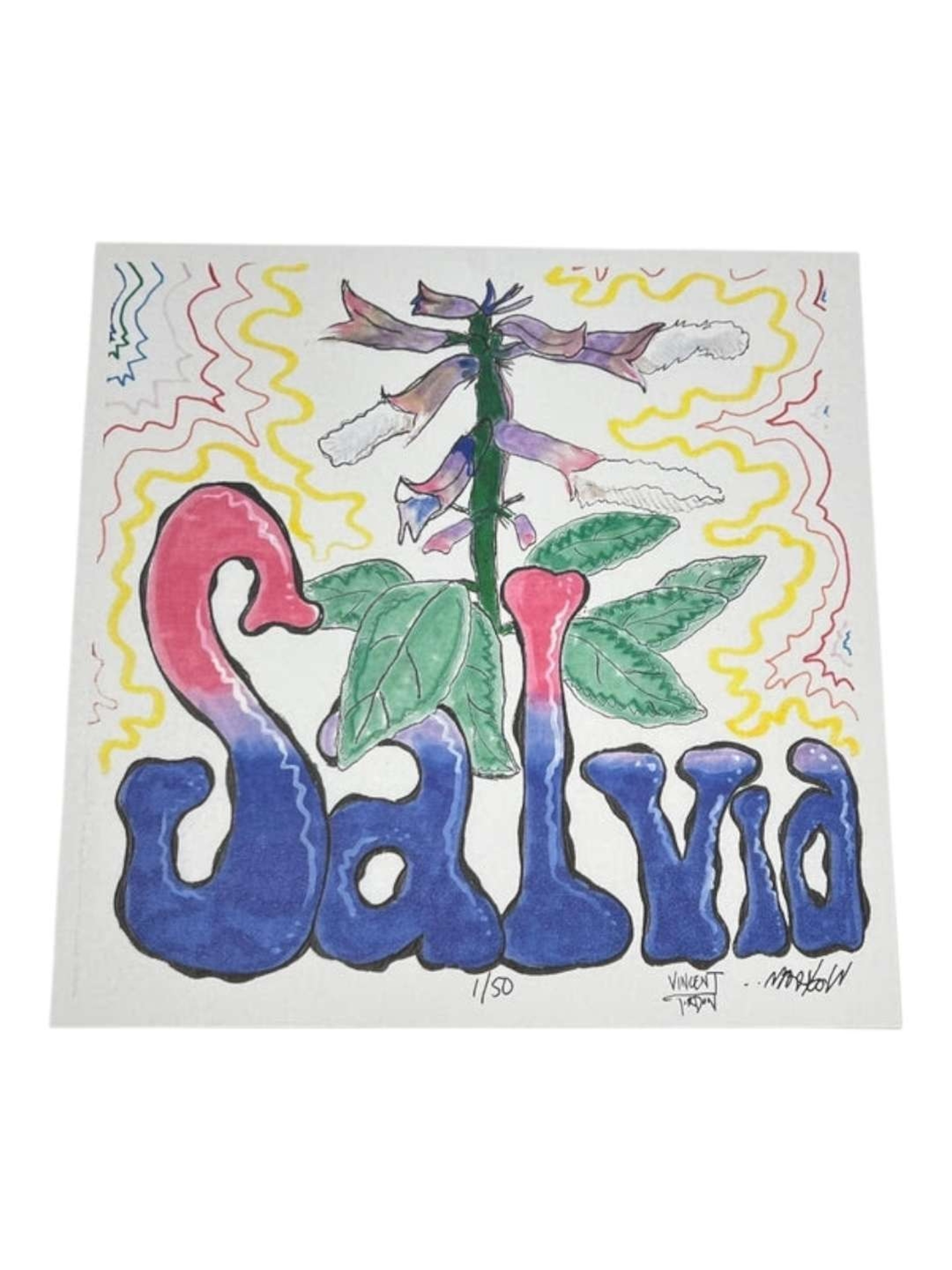 Preview pic of Wookerson x Vincent Gordon "Salvia" Print