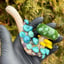 Small image 0