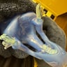 Small image 3