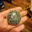 Small image 9