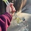 Small image 6