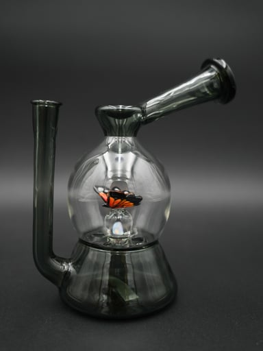 Preview pic of Windstar Black Monarch Blooper