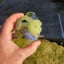 Small image 5