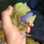 Small image 4