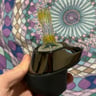 Small image 3