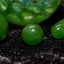 Small image 5