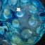 Small image 6