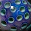 Small image 7