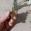 Small image 5