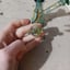 Small image 6