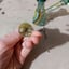 Small image 7