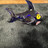 Small image 1