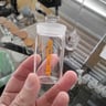 Small image 0