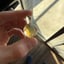 Small image 5