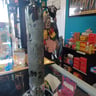 Small image 0