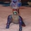 Small image 5