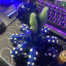 Small image 1