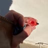 Small image 4