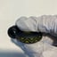 Small image 6