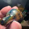 Small image 3