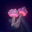 Small image 6