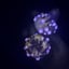 Small image 7