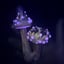 Small image 8