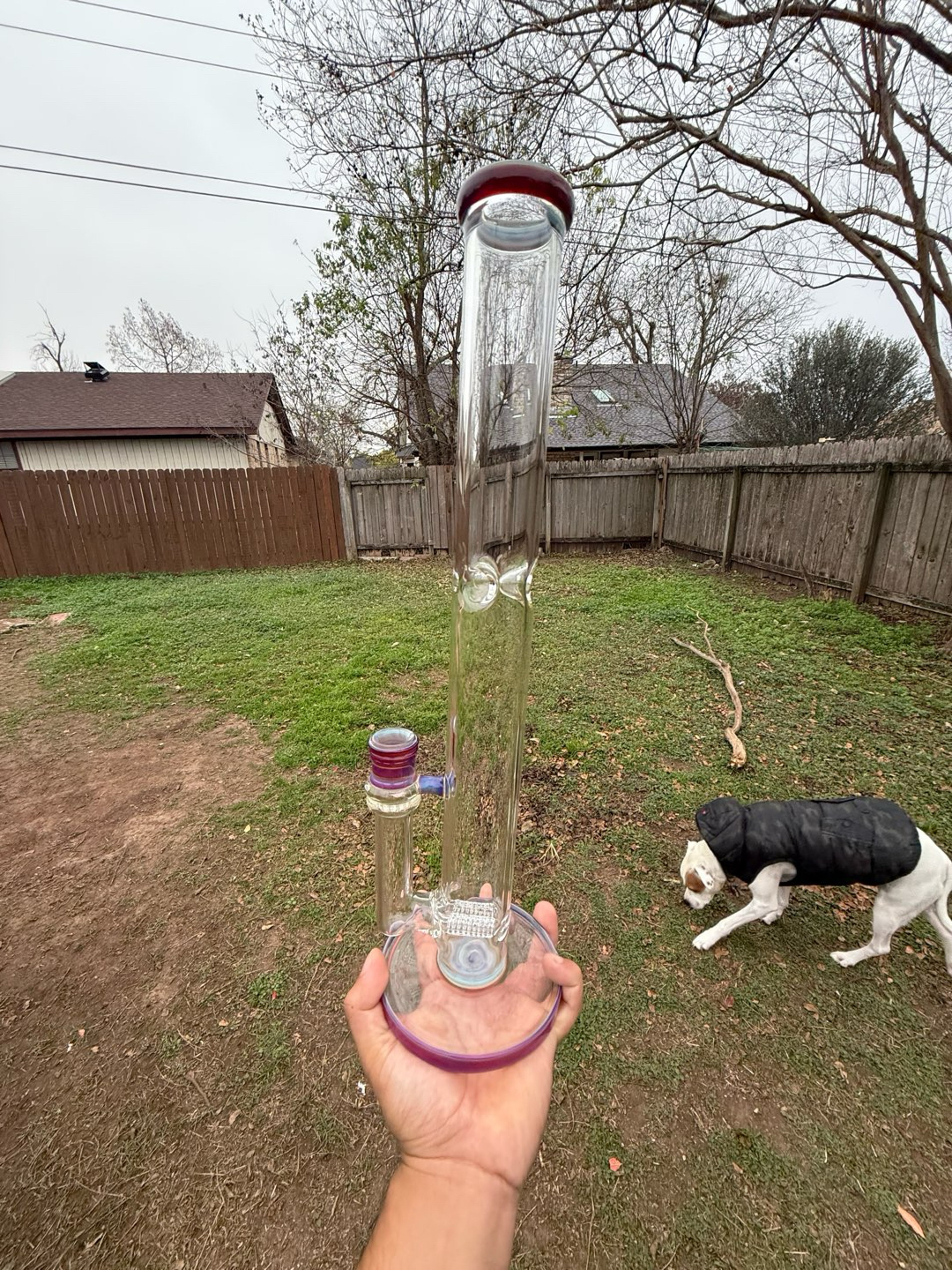 Preview pic of Ashme glass dual stemline