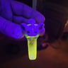 Small image 5