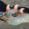 Small image 5