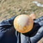 Small image 5