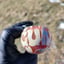 Small image 1