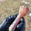 Small image 7