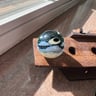 Small image 0