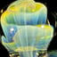 Small image 7