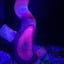 Small image 8