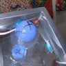 Small image 1