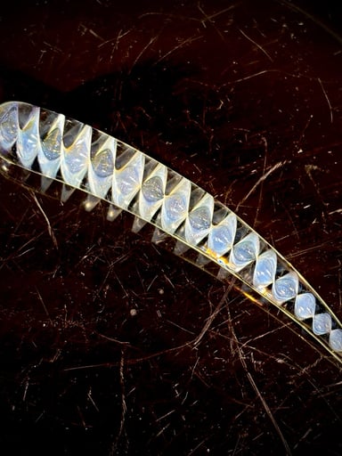 Preview pic of Glass Dabber