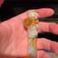 Small image 9