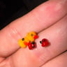 Small image 2