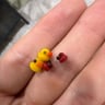 Small image 1