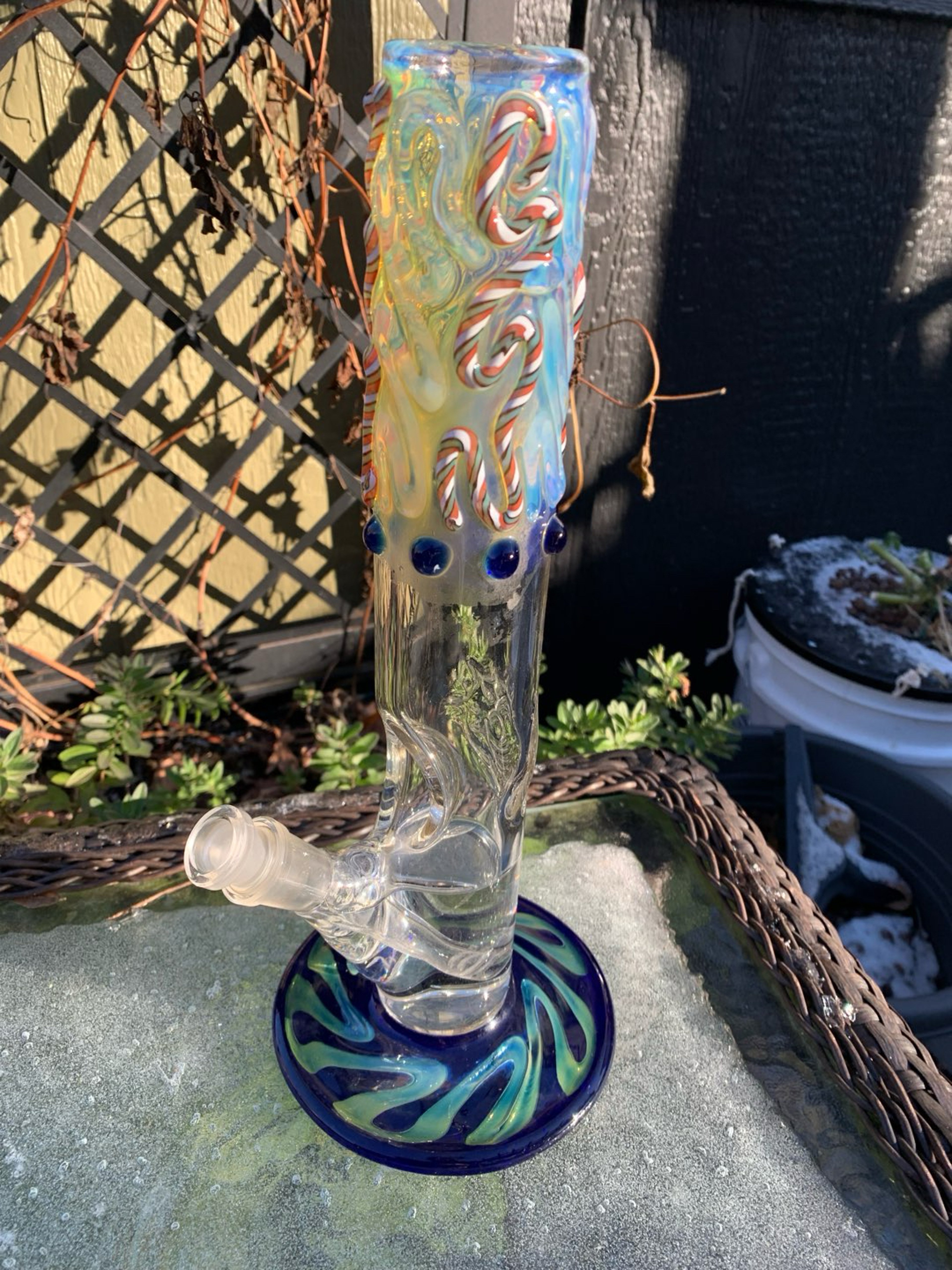 Blowfish gallery fumed Diffy image 0