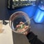 Small image 6