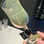 Small image 5