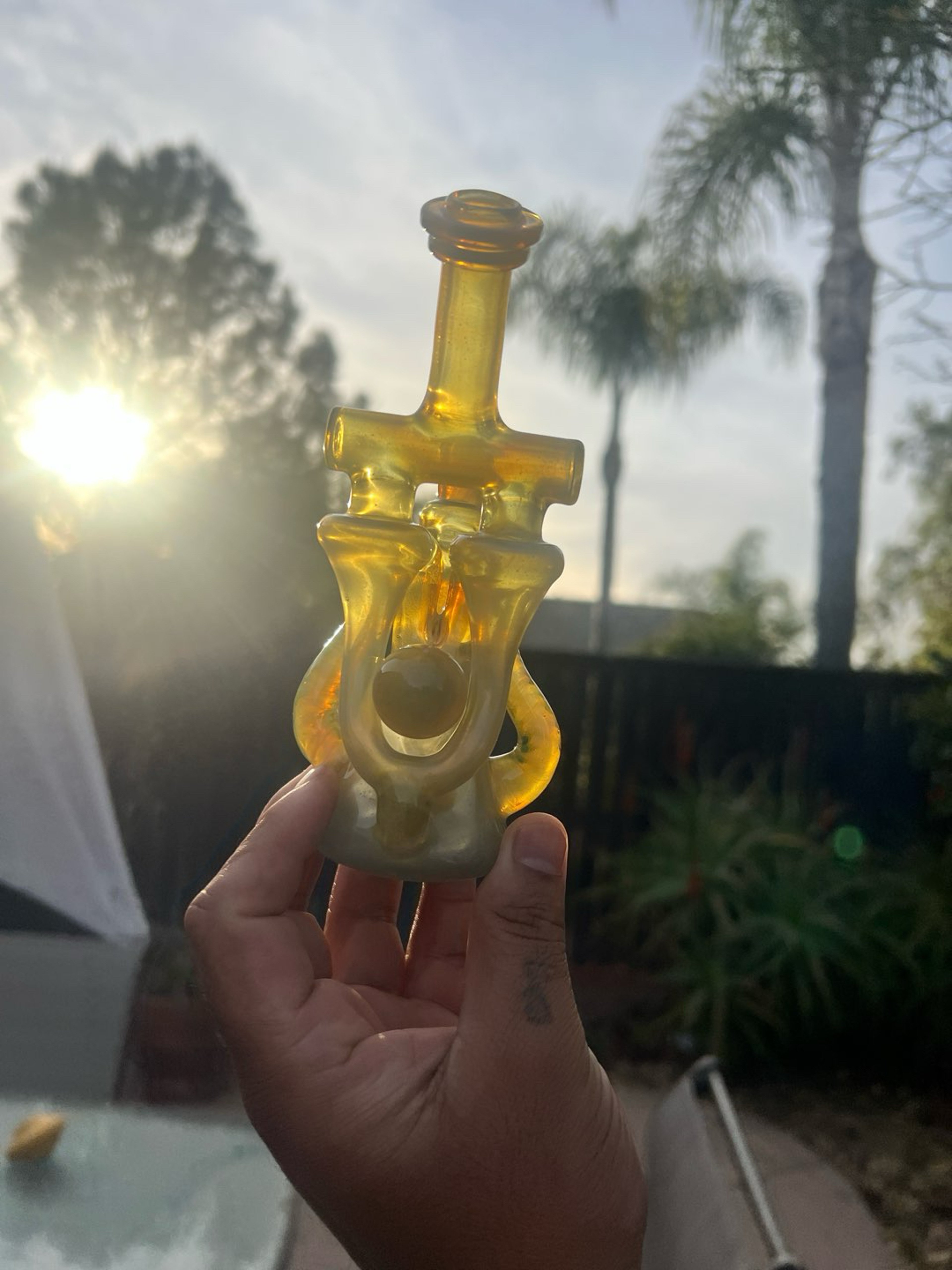 Preview pic of 2025 Domer