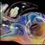 Small image 4